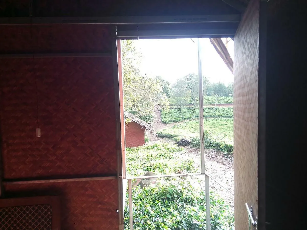 Pīrmed Eagle Rock Holiday Villa الهند